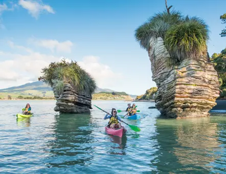 Hamilton & Waikato Tourism