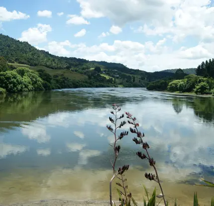 Te Puna Wai Tours Ltd