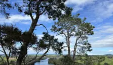 Jones' Landing