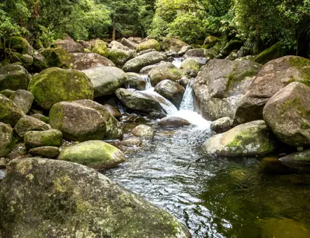 Nature & Nosh Tours