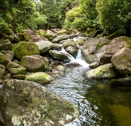 Nature & Nosh Tours