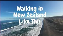 Discover New Zealand's North Island:  Scenic Tours in a Tesla