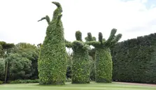 Hamilton Gardens