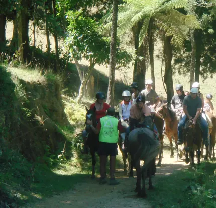 Karamu Trail Track