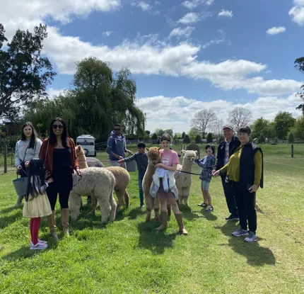 Cornerstone Alpaca Farm Tours