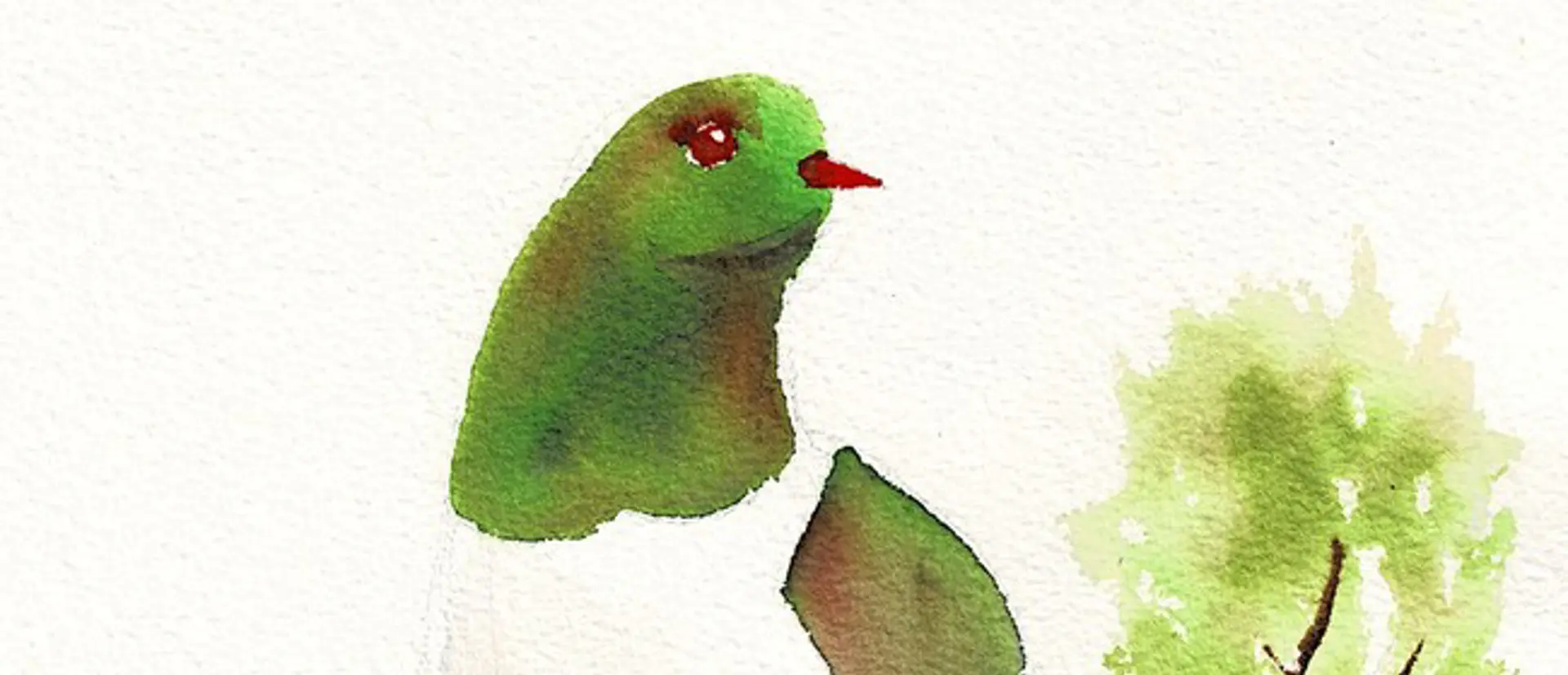 Watercolour & Wine Night - Watercolour Kereru