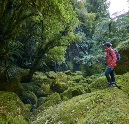 Craig Brown Photography