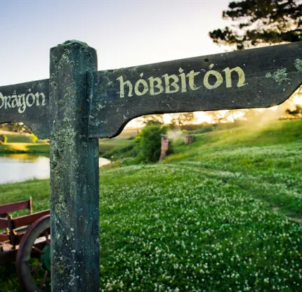 Hobbiton Movie Set