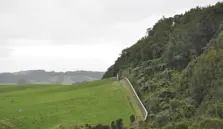 Maungatautari Mountain