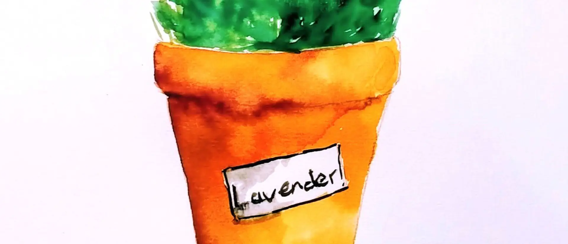 Watercolour & Wine Night - Lavender Pot