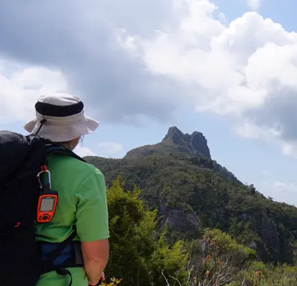 Nature and Nosh Tours