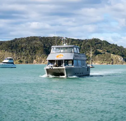 Valeriu Nomad Studio