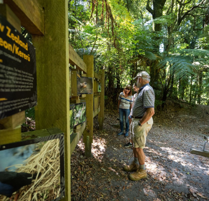 Sanctuary Mountain Maungatautari
