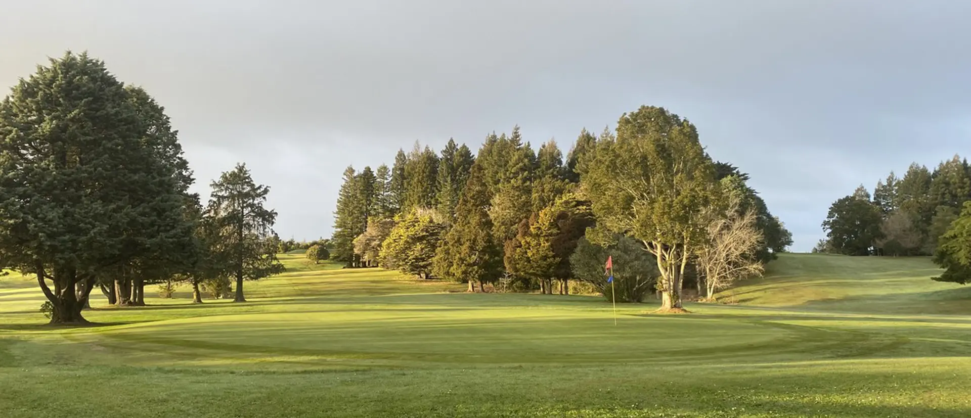 Mixed Midweek Open