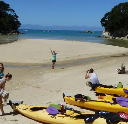 New Zealand Awaits