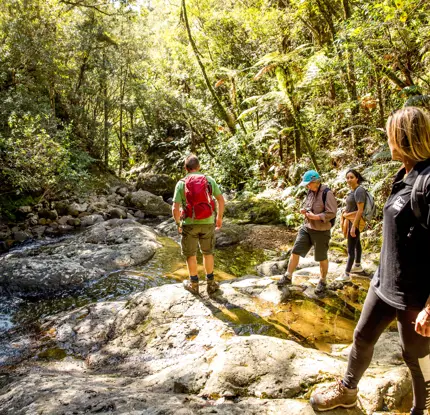 Nature & Nosh Tours