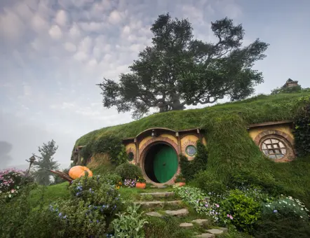 Hobbiton Movie Set Tour