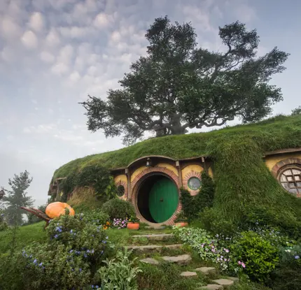 Hobbiton Movie Set Tour