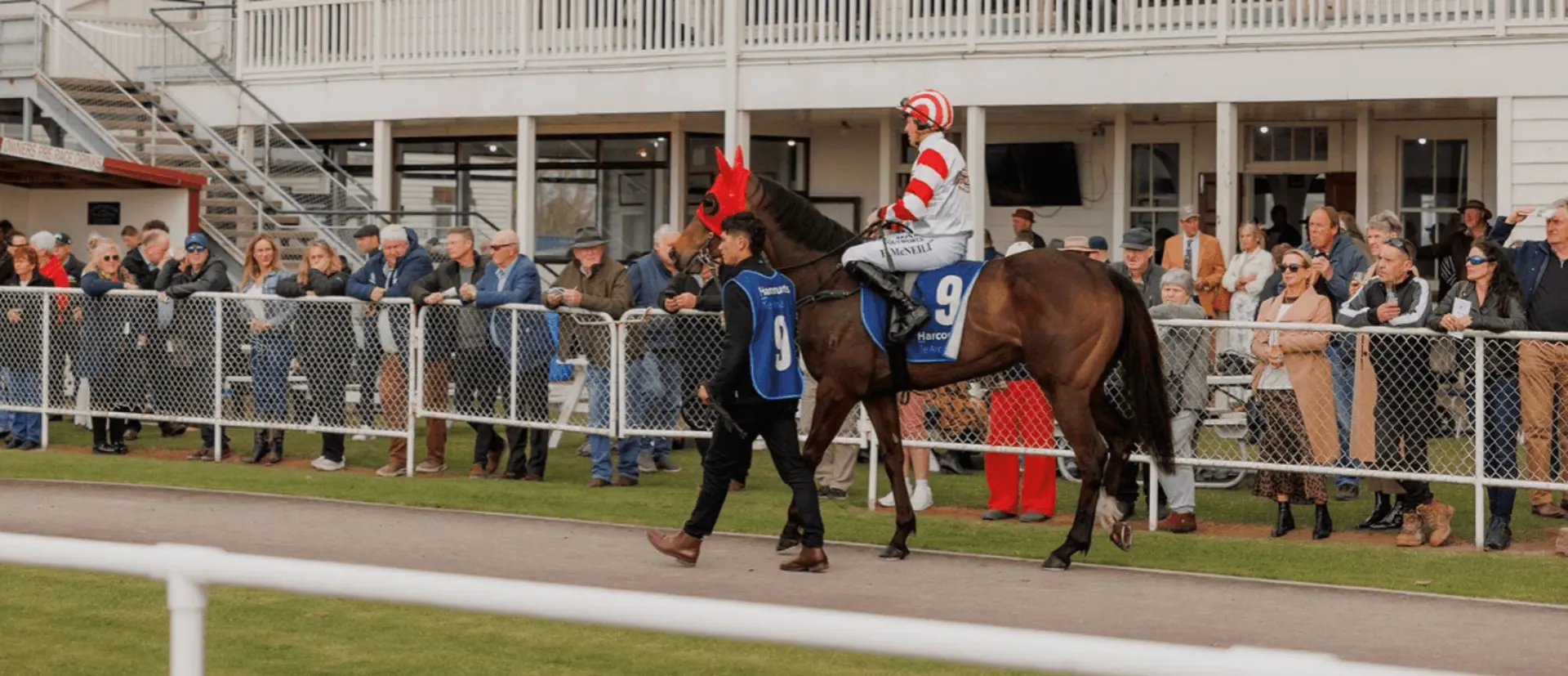 Diprose Miller Christmas Raceday