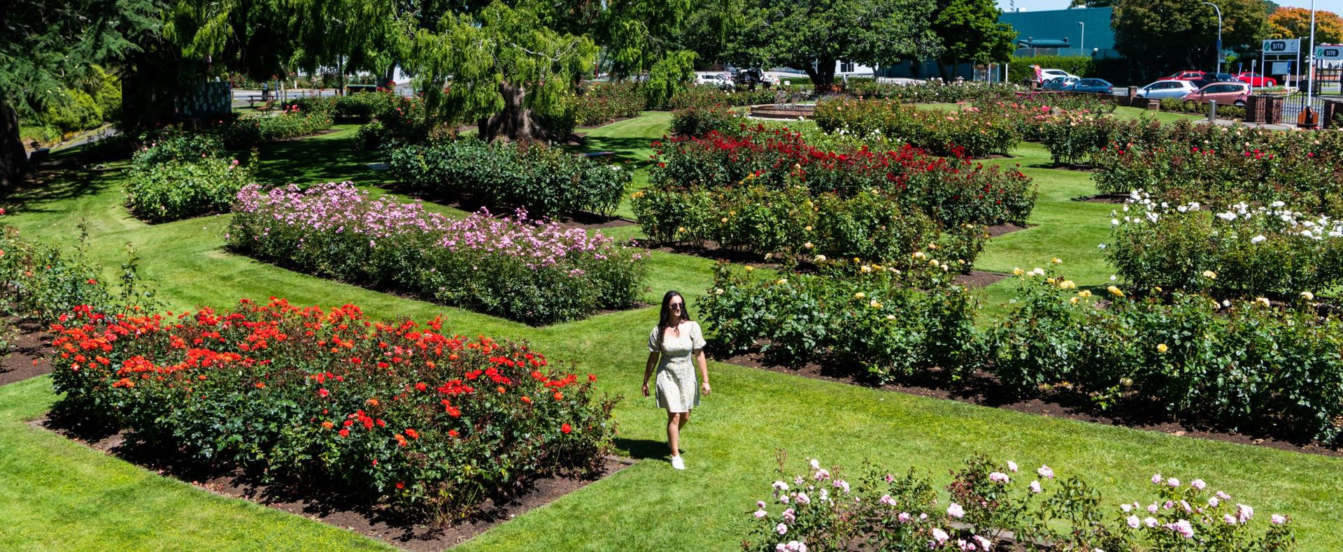 Places to go Te Awamutu WaikatoNZ