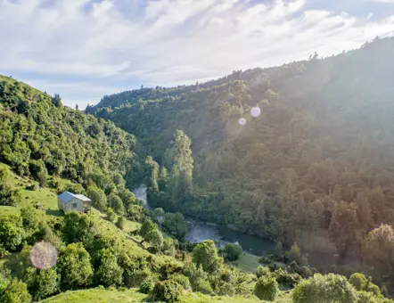 Nature and Nosh Tours