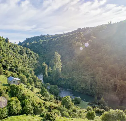 Nature and Nosh Tours