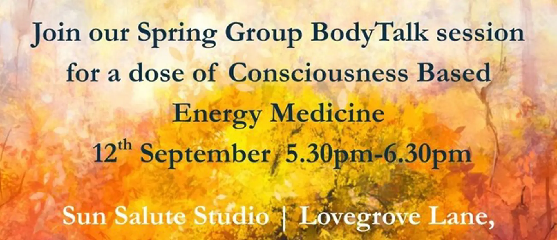 Consciousness Based Energy Medicine Group BodyTalk Session